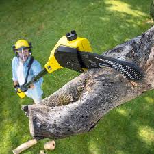 Best Lawn Pest Prevention  in Timmonsville, SC